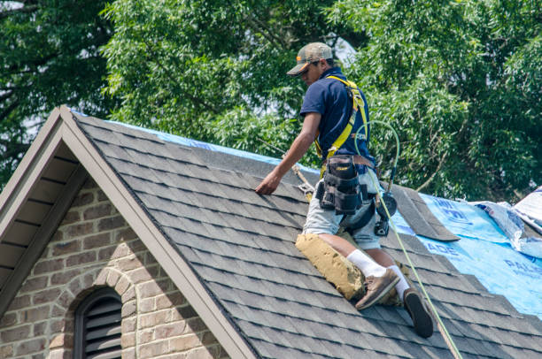 Residential Roof Replacement in Louisville, NE